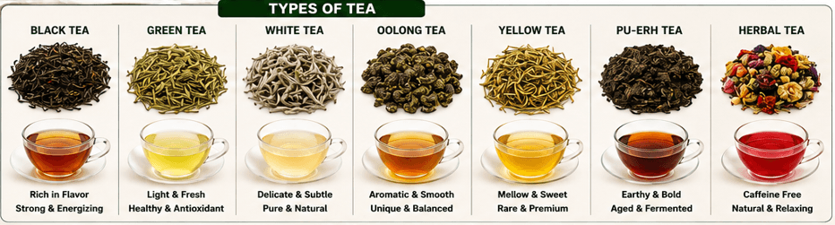 Tea — Types of Tea